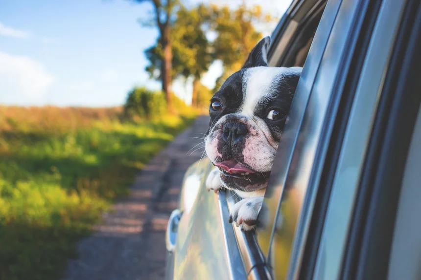 Discover Safex Car Insurance: 7 Reasons You’ll Love Their Coverage!