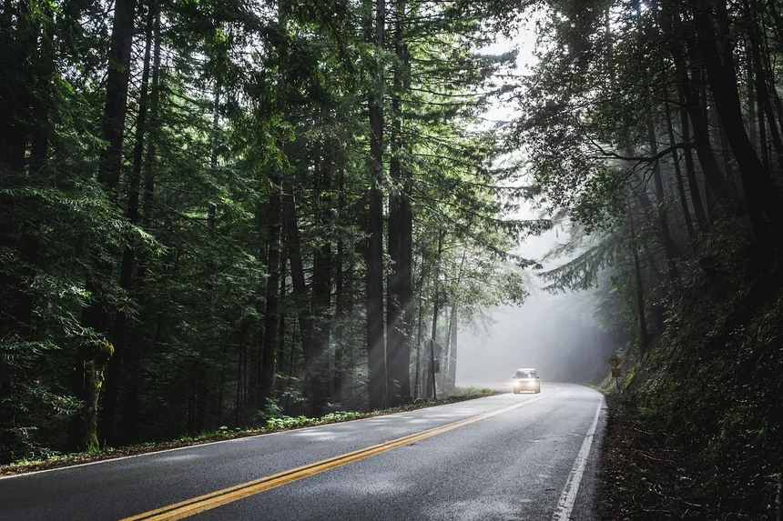 5 Worst Car Insurance Companies to Avoid in 2025 (And How to Spot Them)
